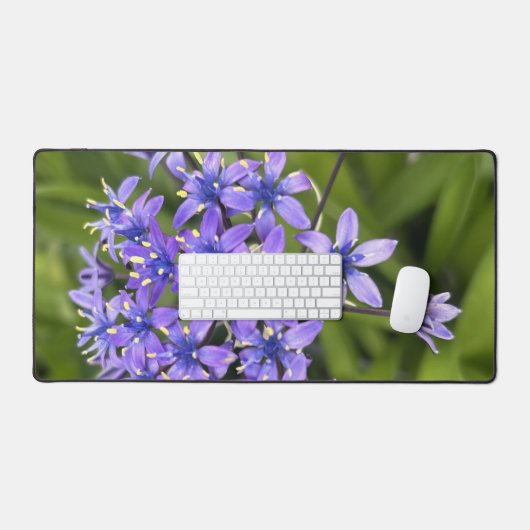 Portugiesische Squill-Blume Schließen Naturschutzg Schreibtischunterlage (Tastatur & Maus)