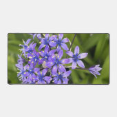 Portugiesische Squill-Blume Schließen Naturschutzg Schreibtischunterlage (Vorderseite)