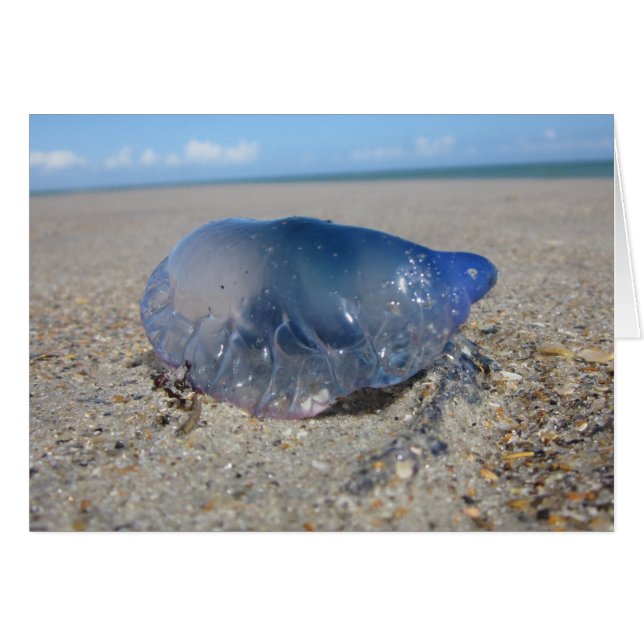 Portugiesischer Mann im Zweiten Krieg (Vorderseite (Horizontal))