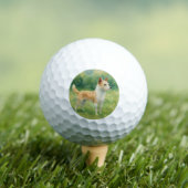 Portugiesischer Podengo Golfball (Insitu T-Shirt)