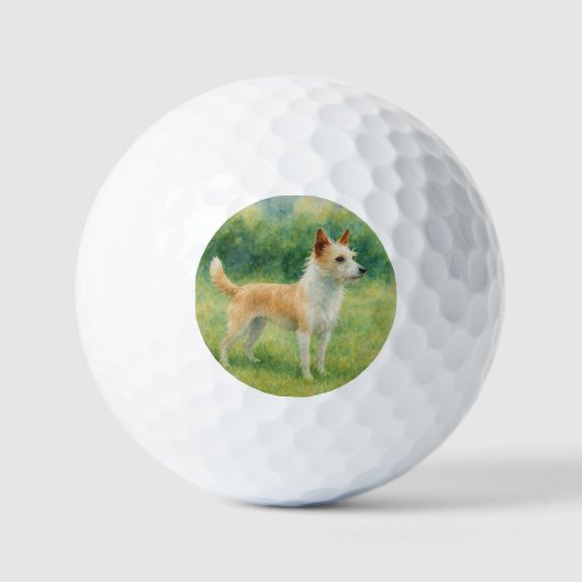 Portugiesischer Podengo Golfball (Vorderseite)