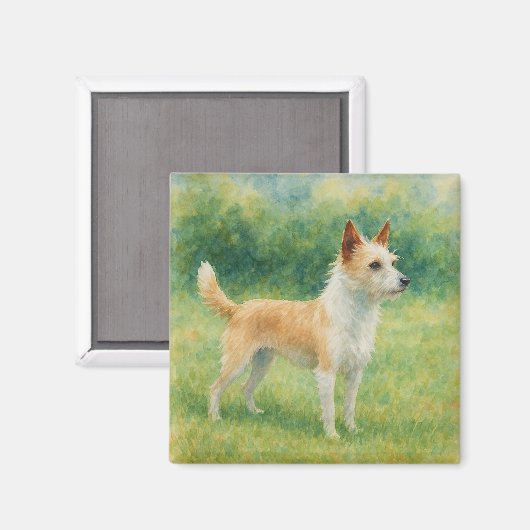 Portugiesischer Podengo Magnet (Vorderseite/Rückseite)