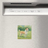 Portugiesischer Podengo Magnet (In Situ (Geschirrspüler))