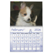 Portugiesischer Podengo Pequeno-Kalender Kalender (Feb 2026)