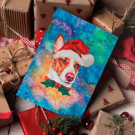 Portugiesischer Podengo Rasse Hund Weihnachten