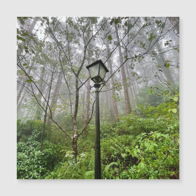 Portugiesischer Schwanz Magnetkarte (Vorderseite)