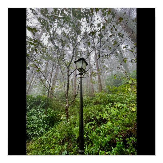 Portugiesischer Schwanz Poster (Vorderseite)