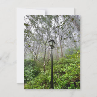 Portugiesischer Schwanz Postkarte