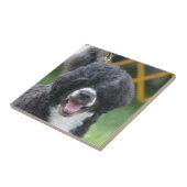 Portugiesischer Wasser-Hund Fliese (Seite)