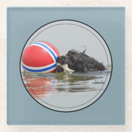 Portugiesischer Wasser-Hund mit Bojen-Ball Glasuntersetzer
