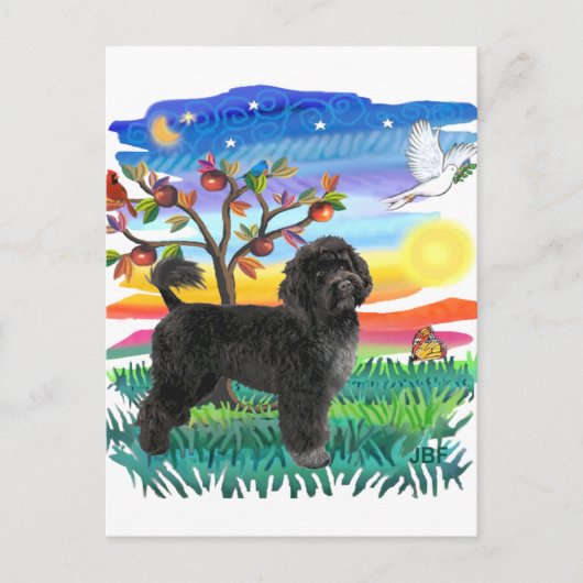 Portugiesischer Wasserdog (#2) Postkarte (Vorderseite)