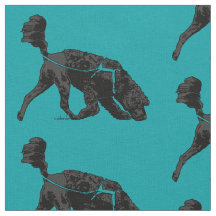 Portugiesischer Wasserdog / Scent Turquois 3X4