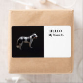 Portugiesischer Wasserhund (Insitu)