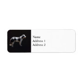 Portugiesischer Wasserhund (Vorne)