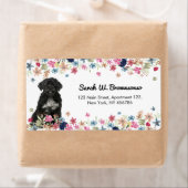 Portugiesischer Wasserhund (Insitu)