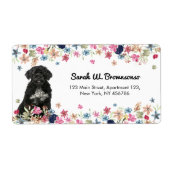 Portugiesischer Wasserhund (Vorne)