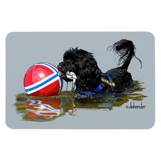 Portugiesischer Wasserhund 2 mit Buoy Ball Magnet (Horizontal)