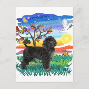 Portugiesischer Wasserhund (#2) Postkarte