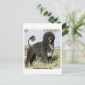 Portugiesischer Wasserhund 9Y154D-030 Postkarte (Stehend Vorderseite)