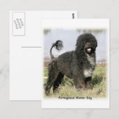 Portugiesischer Wasserhund 9Y154D-030 Postkarte (Vorne/Hinten)