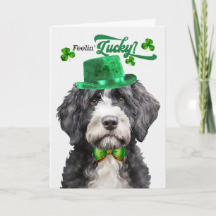 Portugiesischer Wasserhund Glücklicher St. Patrick Feiertagskarte