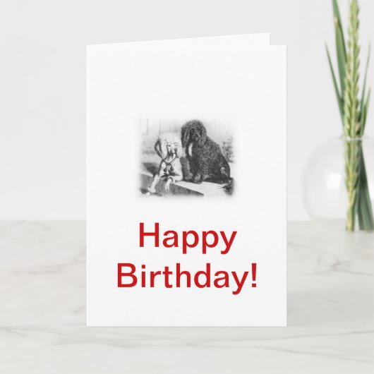 Portugiesischer Wasserhund Karte (Vorderseite)