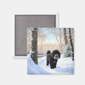 Portugiesischer Wasserhund lässt es zu Weihnachten Magnet (Vorderseite/Rückseite)