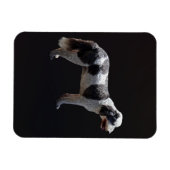 Portugiesischer Wasserhund Magnet (Horizontal)