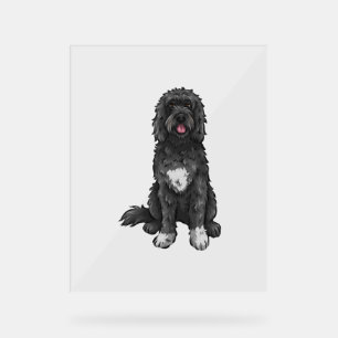 Portugiesischer Wasserhund Niedlicher Hund Kunst Acrylschild