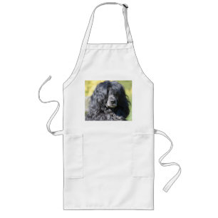 portugiesischer Wasserhund.png Lange Schürze