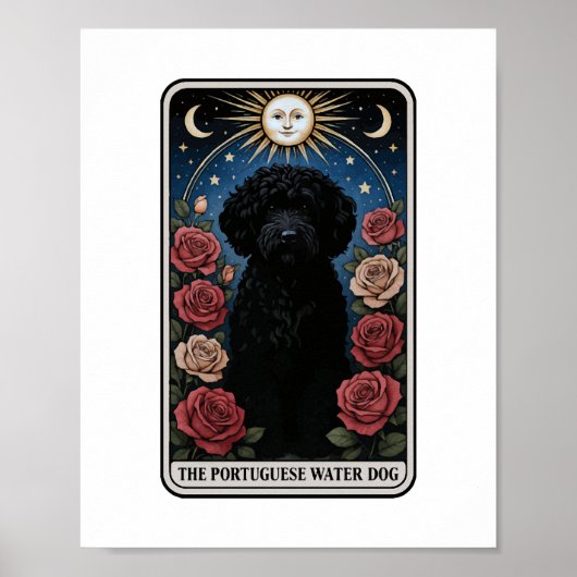 Portugiesischer Wasserhund Poster (Vorne)
