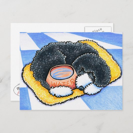 Portugiesischer Wasserhund Postkarte (Vorne/Hinten)