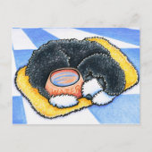 Portugiesischer Wasserhund Postkarte (Vorderseite)