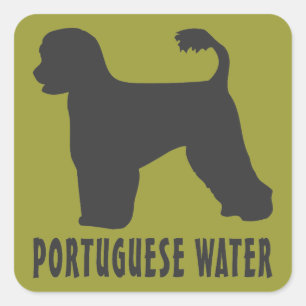 Portugiesischer Wasserhund Quadratischer Aufkleber