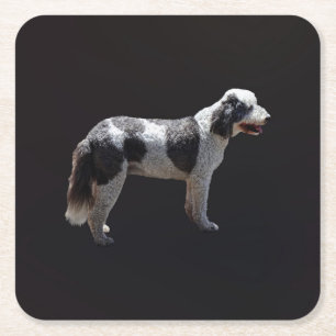 Portugiesischer Wasserhund Rechteckiger Pappuntersetzer