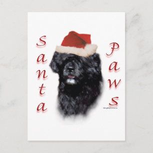 Portugiesischer Wasserhund Santa Paws Feiertagspostkarte