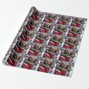 Portugiesischer Wasserhund Weihnachten Rotes Lastw Geschenkpapier