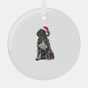 Portugiesischer Wasserhund Weihnachtslicht Weihnac Ornament Aus Glas
