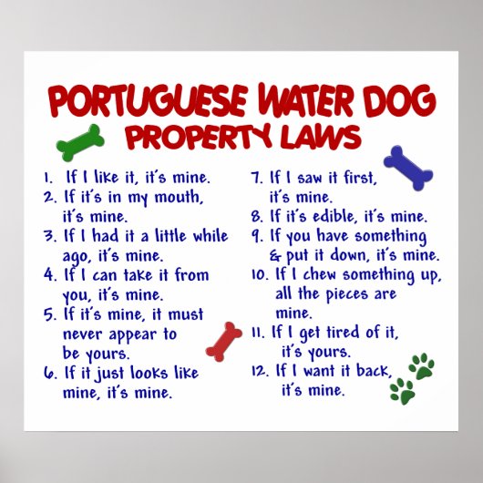 PORTUGIESISCHES WASSER DOG PL2 POSTER (Vorne)