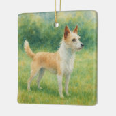 Portuguese Podengo Keramikornament (Links)