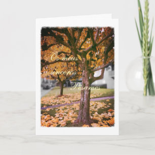 Portuguese sympathy card/condolencias: Fall Tree Karte