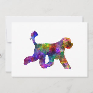 Portuguese Water Dog im Watercolor