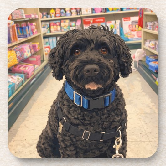 Portuguese Water Dogs Anime Anemi Coasters Set 6 Getränkeuntersetzer (Vorderseite)