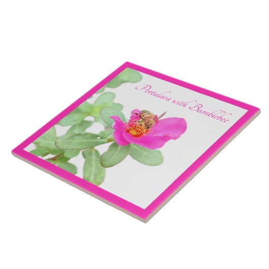 Portulaca mit Hummeln auf weiß Fliese (Seite)