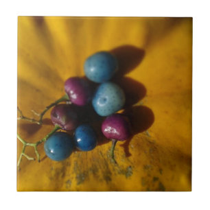 Porzellan Berries und Pumpkin Fliese