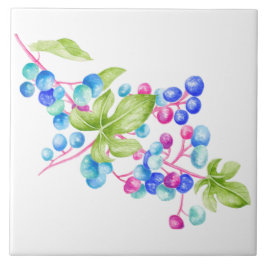 Porzellanberries auf einer Keramik (1) Fliese