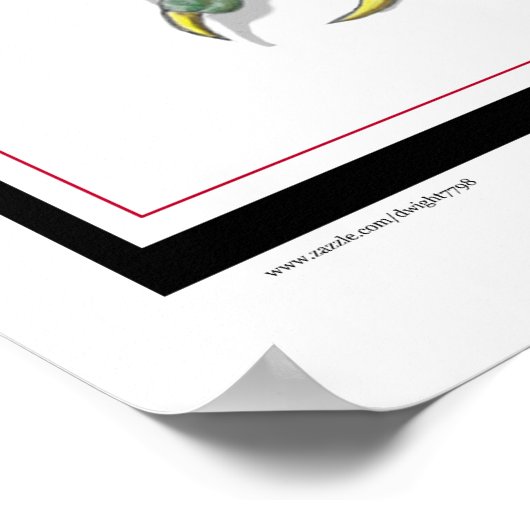 Pos-from-Dragon King Poster (Ecke)