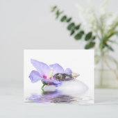 Poscard - Cicada in der Provence Postkarte (Stehend Vorderseite)