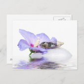 Poscard - Cicada in der Provence Postkarte (Vorne/Hinten)