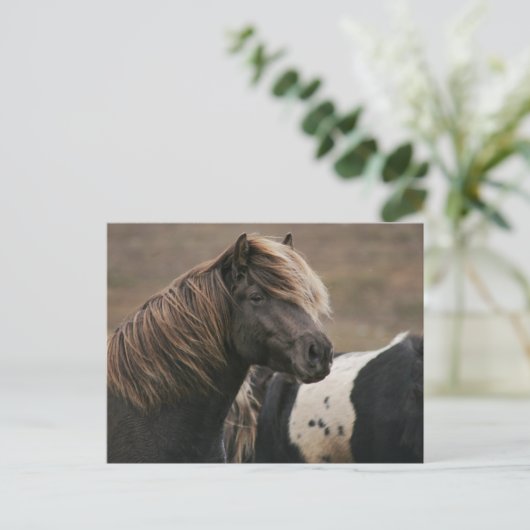 Pose Brown Horse Postkarte (Stehend Vorderseite)